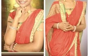 Elegant Red & Gold Sari