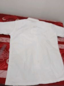 White Shirt Men