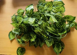 ARTIFICIAL HANGING PLANTS