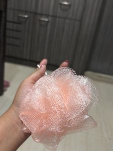 Pack Of 5 Luffa