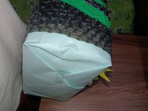 Bag