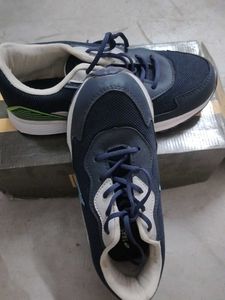 Stylish Blue Sneakers