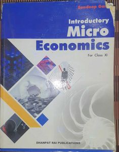 Introductory Micro Economics XI
