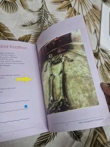 Harappan Civilization Book