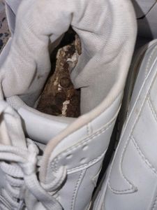 White Low Sneakers Nike COPY