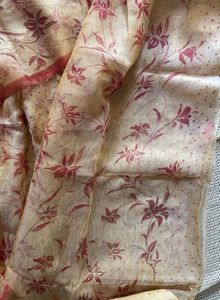Floral Organza Saree