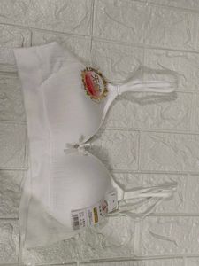 New Bra Padded