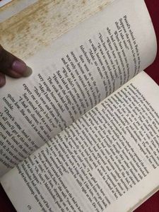 A Little Princess Book