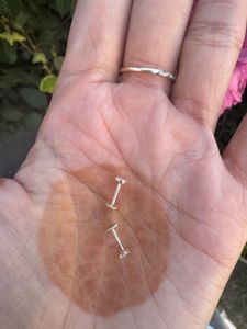 real silver Star Stud Earrings