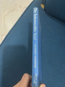 The Indestructible Soul