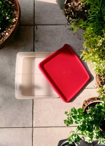 Tupperware Square Away Lunch Box