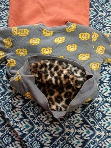 Cute Boys&#39; Sweatshirt Set