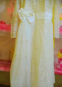 Elegant Ethnic Dress