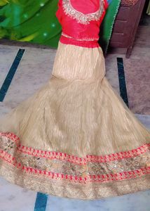 Choli new