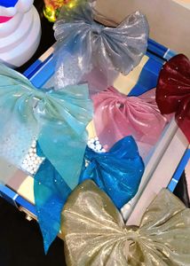 Cute Organza Bow Clip 🎀 (Set of 6pcs)