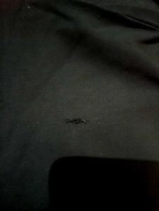 Black Collar Top