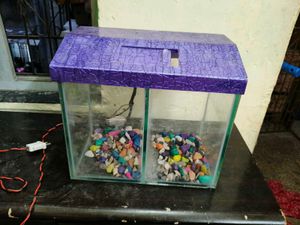 Fish Tank