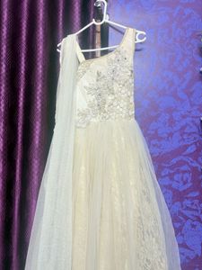 Elegant Ethnic Gown