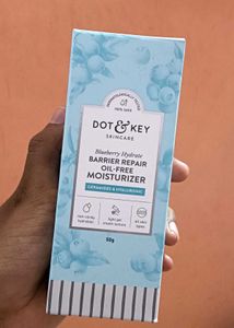 Dot & Key Blueberry Oil Free Moisturizer