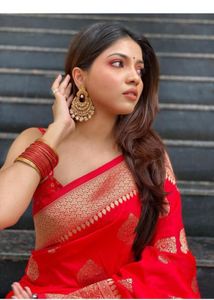 Elegant Red Banarasi Saree