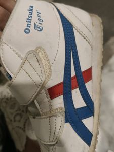 Tiger Branded Shoes For Kids