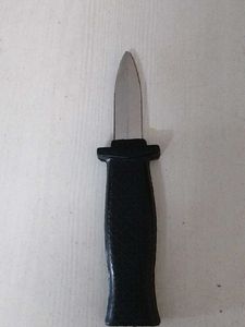 Novelty Dagger