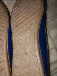 Blue Flats