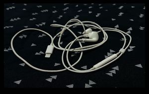 Apple Earphones