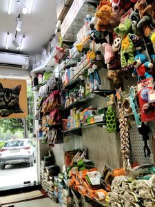 Dog Toys Galore!