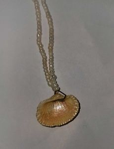 Seashell Beaded Necklace🐚💙🌊