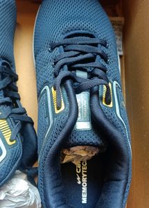 New Campus Shoes