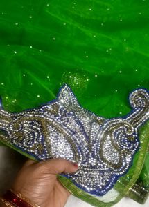 Very Beautfull Parrot Green Net Saree