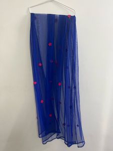 Pink Top and Blue Dupatta