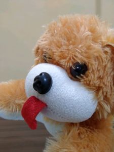 Cute Soft Light Weight Dog