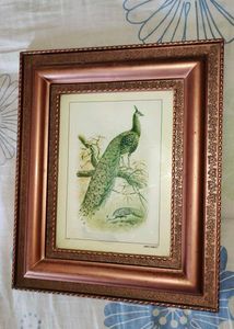 Framed Peacock Print🎉🎊🎊