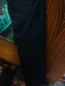 Pant