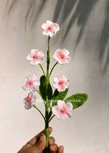 Forget-me-not Flowers