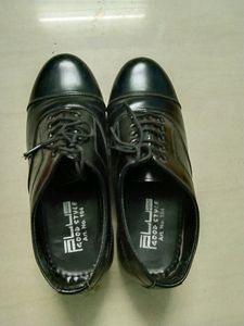 School And Office Shoe