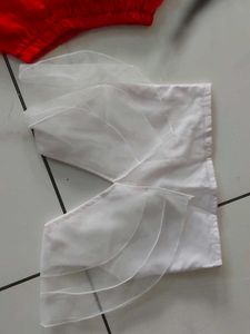 Red &amp; White Party Lehenga Choli