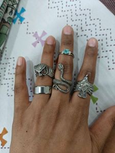 Cool Animal Rings - Set of 5