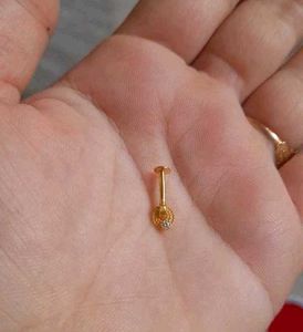 Beautiful New Ring Type Nosering
