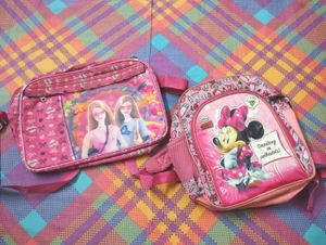 Combo Of Two Bags