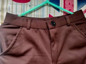 Brown Formal pants / Trousers
