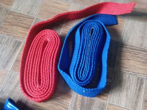 Karate/MMA Sparring Gear Set