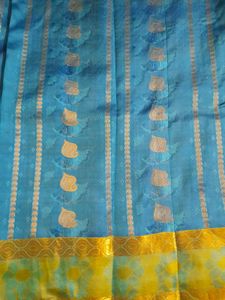 Grand Silk Saree with Contrast Blouse