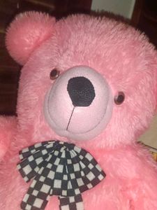 Pink Teddy Bear