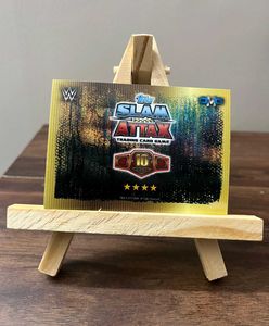 WWE Official Brock Lesnar vs Triple H Holo Card