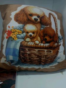 Stylish Top Nad Pillow Combo