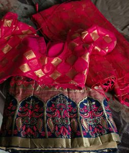 Gorgeous Lehenga Choli With Blouse