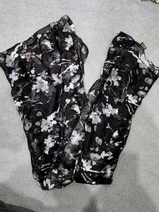 AND scarf/ Stoll